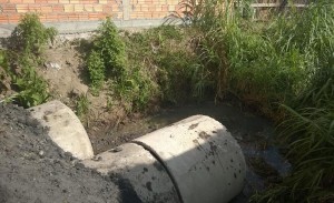 WP_20150428_008 (Copy)