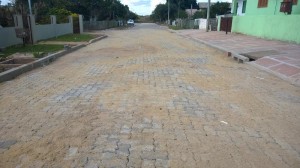 WP_20150428_019 (Copy)