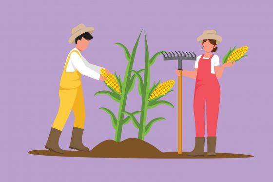 Chamada Pública PNAE N°01/2026